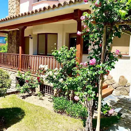 La Casa Del Abeto Azul *