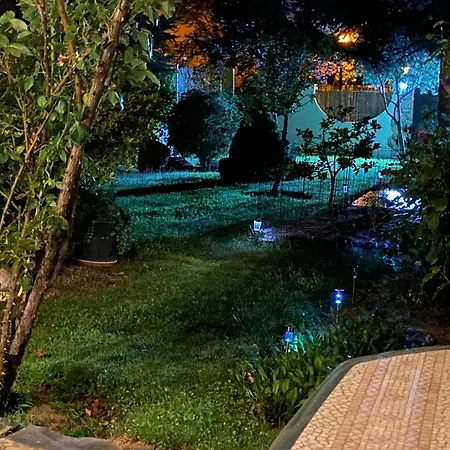 La Casa Del Abeto Azul